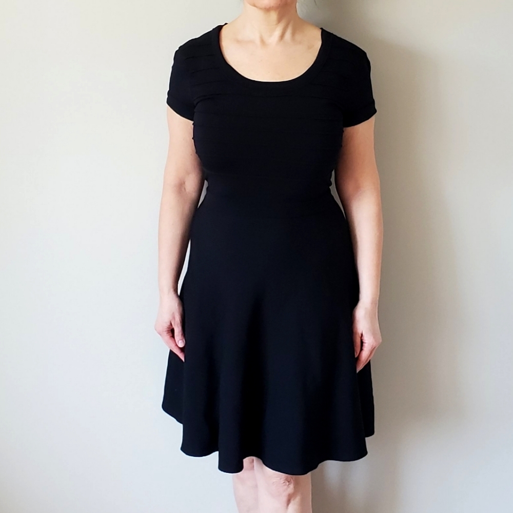 Rebecca Taylor Black Fit and Flare Mini Dress
